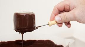 Что можно приготовить из шоколада - интересные идеи, рецепты с фото Как сделать вкусное блюдо из шоколада