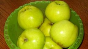 Шарлотка — рецепт от Все буде смачно Вкусный яблочный пирог от аллы ковальчук